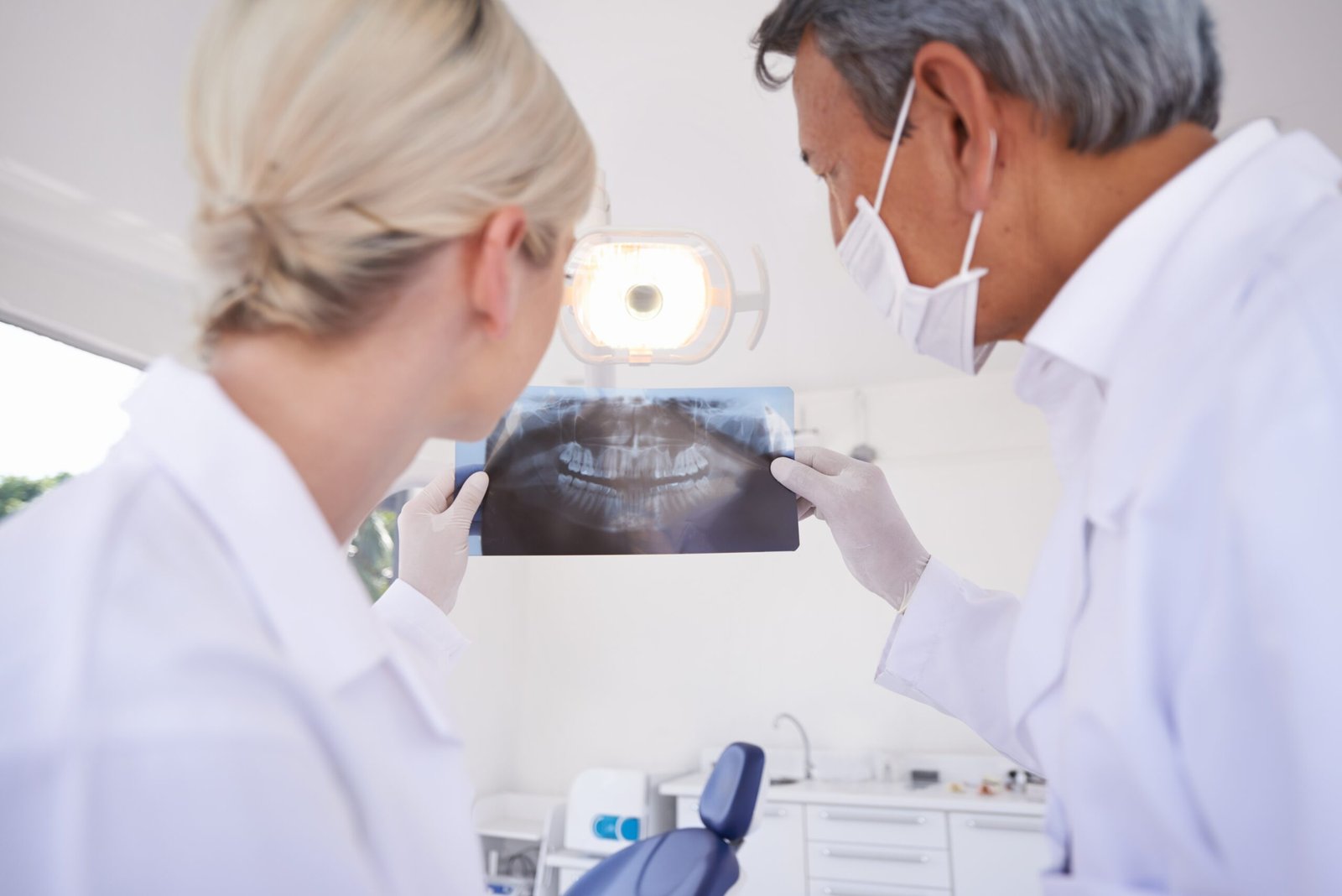 curiosità sui denti famiglia studio